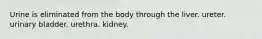 Urine is eliminated from the body through the liver. ureter. urinary bladder. urethra. kidney.