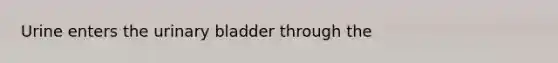 Urine enters the <a href='https://www.questionai.com/knowledge/kb9SdfFdD9-urinary-bladder' class='anchor-knowledge'>urinary bladder</a> through the