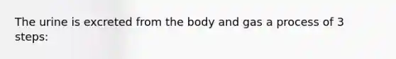 The urine is excreted from the body and gas a process of 3 steps: