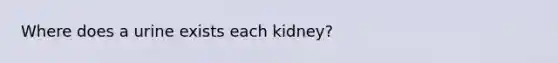 Where does a urine exists each kidney?