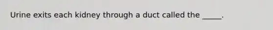 Urine exits each kidney through a duct called the _____.