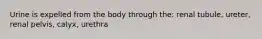 Urine is expelled from the body through the: renal tubule, ureter, renal pelvis, calyx, urethra
