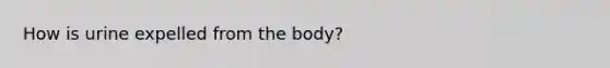 How is urine expelled from the body?