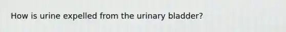 How is urine expelled from the <a href='https://www.questionai.com/knowledge/kb9SdfFdD9-urinary-bladder' class='anchor-knowledge'>urinary bladder</a>?