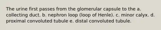 The urine first passes from the glomerular capsule to the a. collecting duct. b. nephron loop (loop of Henle). c. minor calyx. d. proximal convoluted tubule e. distal convoluted tubule.