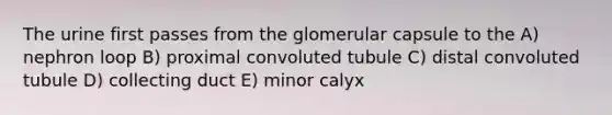 The urine first passes from the glomerular capsule to the A) nephron loop B) proximal convoluted tubule C) distal convoluted tubule D) collecting duct E) minor calyx