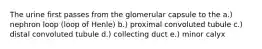 The urine first passes from the glomerular capsule to the a.) nephron loop (loop of Henle) b.) proximal convoluted tubule c.) distal convoluted tubule d.) collecting duct e.) minor calyx