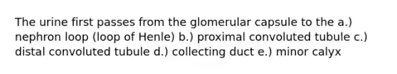 The urine first passes from the glomerular capsule to the a.) nephron loop (loop of Henle) b.) proximal convoluted tubule c.) distal convoluted tubule d.) collecting duct e.) minor calyx