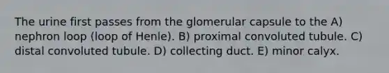 The urine first passes from the glomerular capsule to the A) nephron loop (loop of Henle). B) proximal convoluted tubule. C) distal convoluted tubule. D) collecting duct. E) minor calyx.