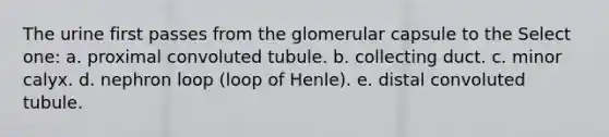 The urine first passes from the glomerular capsule to the Select one: a. proximal convoluted tubule. b. collecting duct. c. minor calyx. d. nephron loop (loop of Henle). e. distal convoluted tubule.