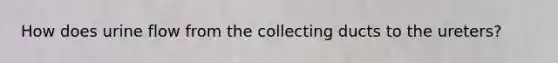How does urine flow from the collecting ducts to the ureters?