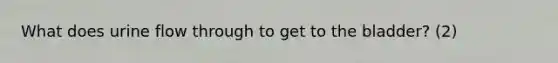 What does urine flow through to get to the bladder? (2)