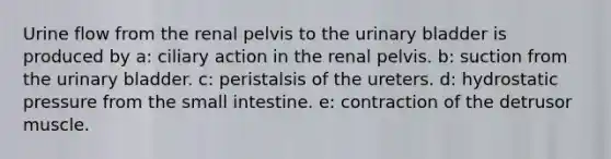 Urine flow from the renal pelvis to the <a href='https://www.questionai.com/knowledge/kb9SdfFdD9-urinary-bladder' class='anchor-knowledge'>urinary bladder</a> is produced by a: ciliary action in the renal pelvis. b: suction from the urinary bladder. c: peristalsis of the ureters. d: hydrostatic pressure from <a href='https://www.questionai.com/knowledge/kt623fh5xn-the-small-intestine' class='anchor-knowledge'>the small intestine</a>. e: contraction of the detrusor muscle.