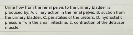 Urine flow from the renal pelvis to the urinary bladder is produced by: A. ciliary action in the renal pelvis. B. suction from the urinary bladder. C. peristalsis of the ureters. D. hydrostatic pressure from the small intestine. E. contraction of the detrusor muscle.