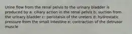 Urine flow from the renal pelvis to the urinary bladder is produced by a: ciliary action in the renal pelvis b: suction from the urinary bladder c: peristalsis of the ureters d: hydrostatic pressure from the small intestine e: contraction of the detrusor muscle