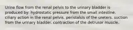 Urine flow from the renal pelvis to the urinary bladder is produced by: hydrostatic pressure from the small intestine. ciliary action in the renal pelvis. peristalsis of the ureters. suction from the urinary bladder. contraction of the detrusor muscle.