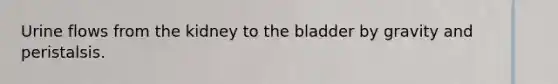 Urine flows from the kidney to the bladder by gravity and peristalsis.