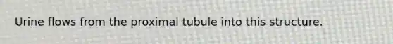 Urine flows from the proximal tubule into this structure.