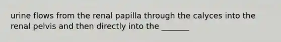 urine flows from the renal papilla through the calyces into the renal pelvis and then directly into the _______