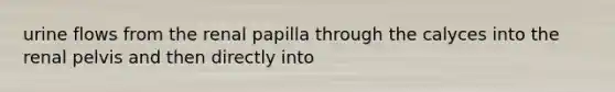 urine flows from the renal papilla through the calyces into the renal pelvis and then directly into