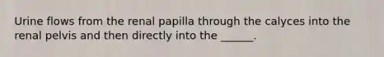 Urine flows from the renal papilla through the calyces into the renal pelvis and then directly into the ______.