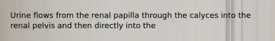 Urine flows from the renal papilla through the calyces into the renal pelvis and then directly into the