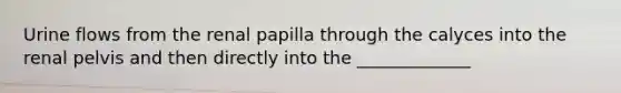 Urine flows from the renal papilla through the calyces into the renal pelvis and then directly into the _____________