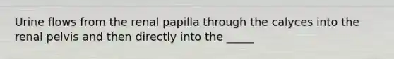 Urine flows from the renal papilla through the calyces into the renal pelvis and then directly into the _____