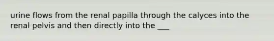 urine flows from the renal papilla through the calyces into the renal pelvis and then directly into the ___