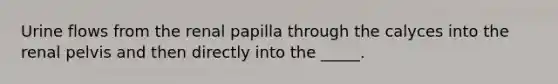 Urine flows from the renal papilla through the calyces into the renal pelvis and then directly into the _____.