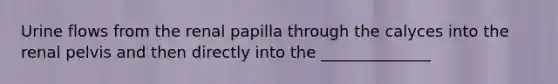 Urine flows from the renal papilla through the calyces into the renal pelvis and then directly into the ______________