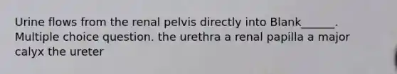 Urine flows from the renal pelvis directly into Blank______. Multiple choice question. the urethra a renal papilla a major calyx the ureter