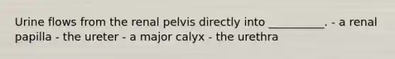 Urine flows from the renal pelvis directly into __________. - a renal papilla - the ureter - a major calyx - the urethra