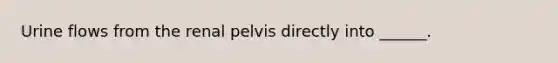 Urine flows from the renal pelvis directly into ______.