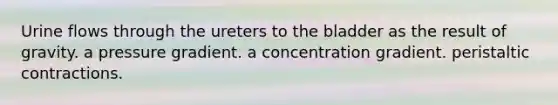 Urine flows through the ureters to the bladder as the result of gravity. a pressure gradient. a concentration gradient. peristaltic contractions.