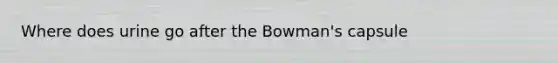 Where does urine go after the Bowman's capsule