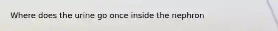 Where does the urine go once inside the nephron