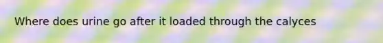 Where does urine go after it loaded through the calyces