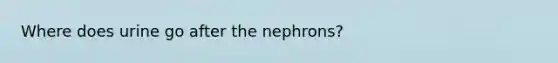 Where does urine go after the nephrons?