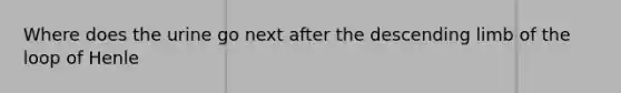 Where does the urine go next after the descending limb of the loop of Henle