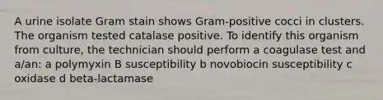 A urine isolate Gram stain shows Gram-positive cocci in clusters. The organism tested catalase positive. To identify this organism from culture, the technician should perform a coagulase test and a/an: a polymyxin B susceptibility b novobiocin susceptibility c oxidase d beta-lactamase