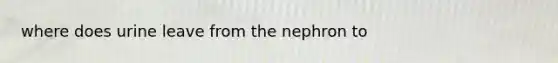 where does urine leave from the nephron to