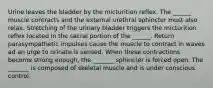 Urine leaves the bladder by the micturition reflex. The ______ muscle contracts and the external urethral sphincter must also relax. Stretching of the urinary bladder triggers the micturition reflex located in the sacral portion of the ______. Return parasympathetic impulses cause the muscle to contract in waves ad an urge to urinate is sensed. When these contractions become strong enough, the _______ sphincter is forced open. The _______ is composed of skeletal muscle and is under conscious control.