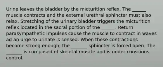 Urine leaves the bladder by the micturition reflex. The ______ muscle contracts and the external urethral sphincter must also relax. Stretching of the urinary bladder triggers the micturition reflex located in the sacral portion of the ______. Return parasympathetic impulses cause the muscle to contract in waves ad an urge to urinate is sensed. When these contractions become strong enough, the _______ sphincter is forced open. The _______ is composed of skeletal muscle and is under conscious control.