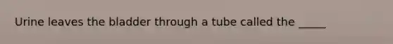 Urine leaves the bladder through a tube called the _____