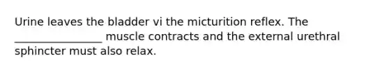 Urine leaves the bladder vi the micturition reflex. The ________________ muscle contracts and the external urethral sphincter must also relax.