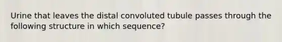 Urine that leaves the distal convoluted tubule passes through the following structure in which sequence?