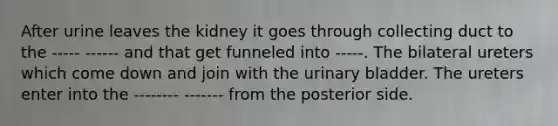 After urine leaves the kidney it goes through collecting duct to the ----- ------ and that get funneled into -----. The bilateral ureters which come down and join with the <a href='https://www.questionai.com/knowledge/kb9SdfFdD9-urinary-bladder' class='anchor-knowledge'>urinary bladder</a>. The ureters enter into the -------- ------- from the posterior side.