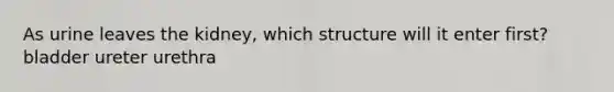 As urine leaves the kidney, which structure will it enter first? bladder ureter urethra