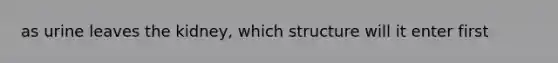 as urine leaves the kidney, which structure will it enter first